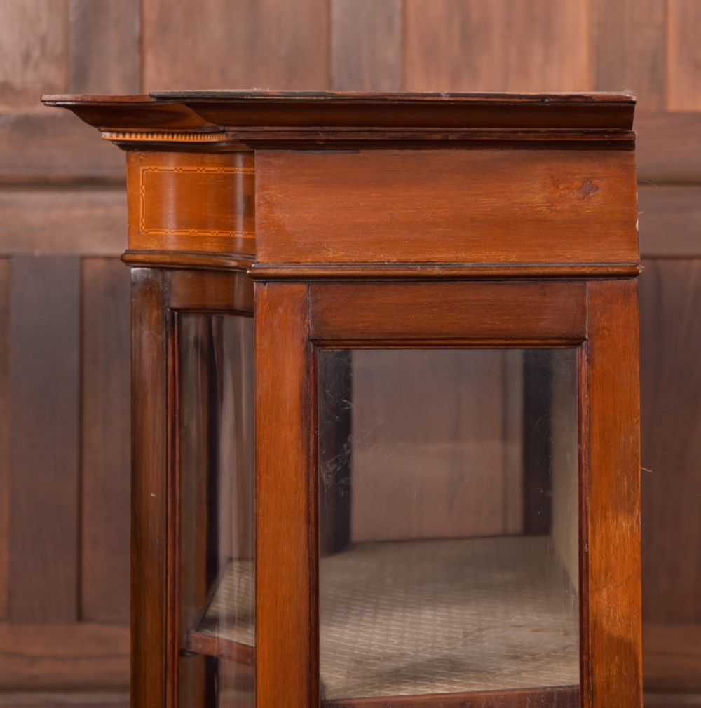 Edwardian Display Cabinet View XV