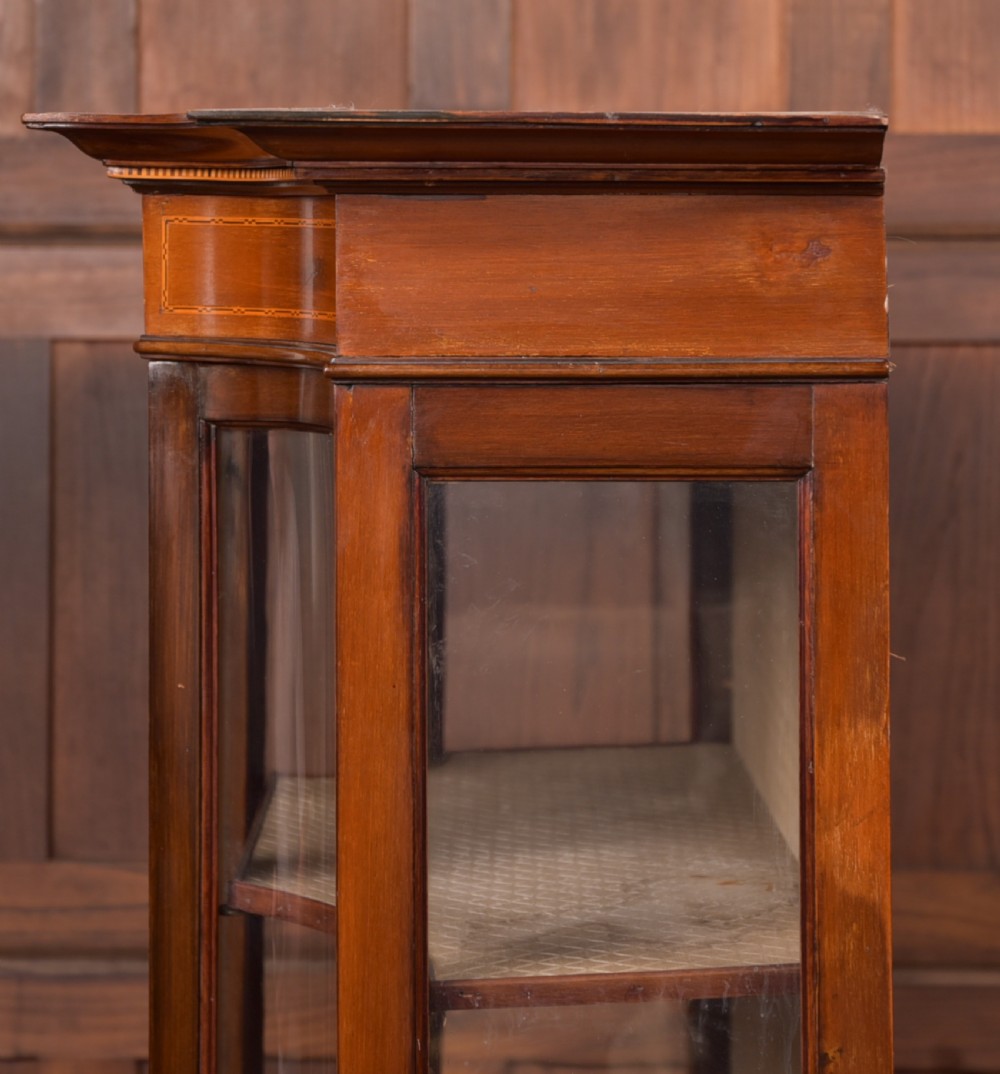 Edwardian Display Cabinet View XVIII