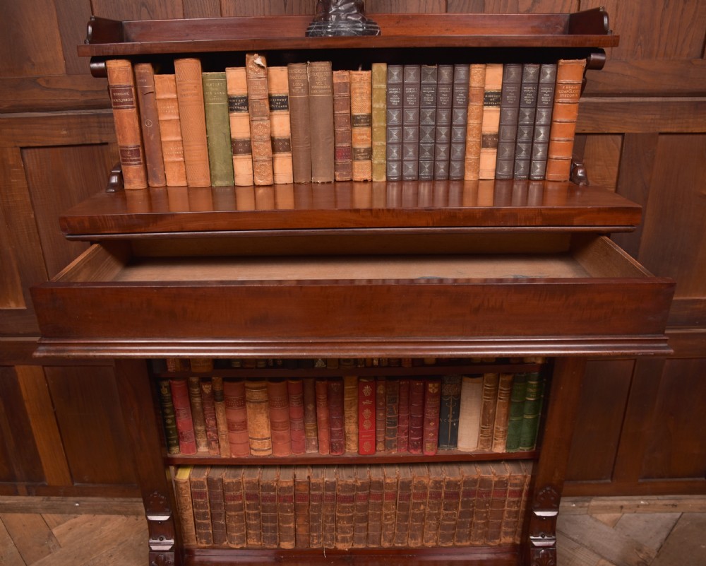 Victorian Bookcase View VI