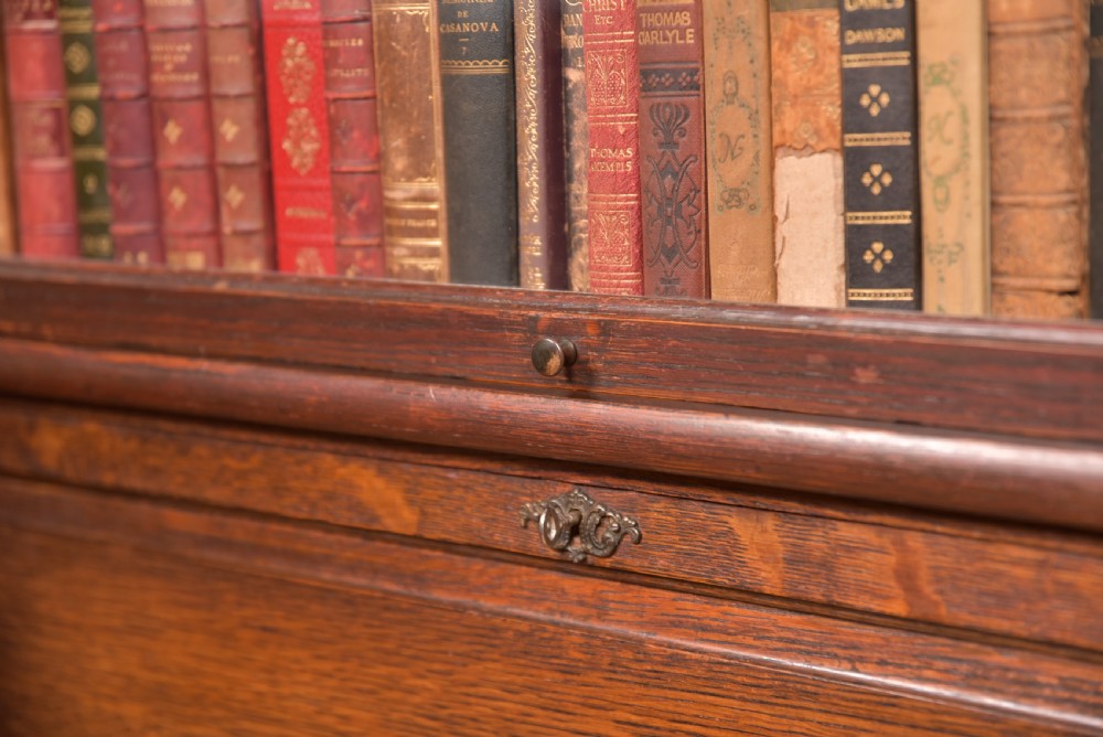 Globe Wernicke Sectional bureau bookcase View XVIII