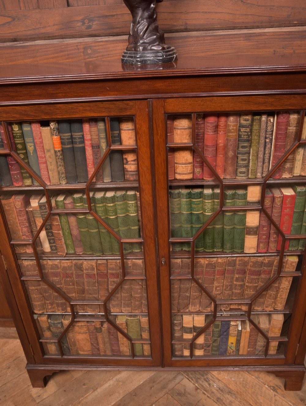 Edwardian Mahogany Bookcase View IV