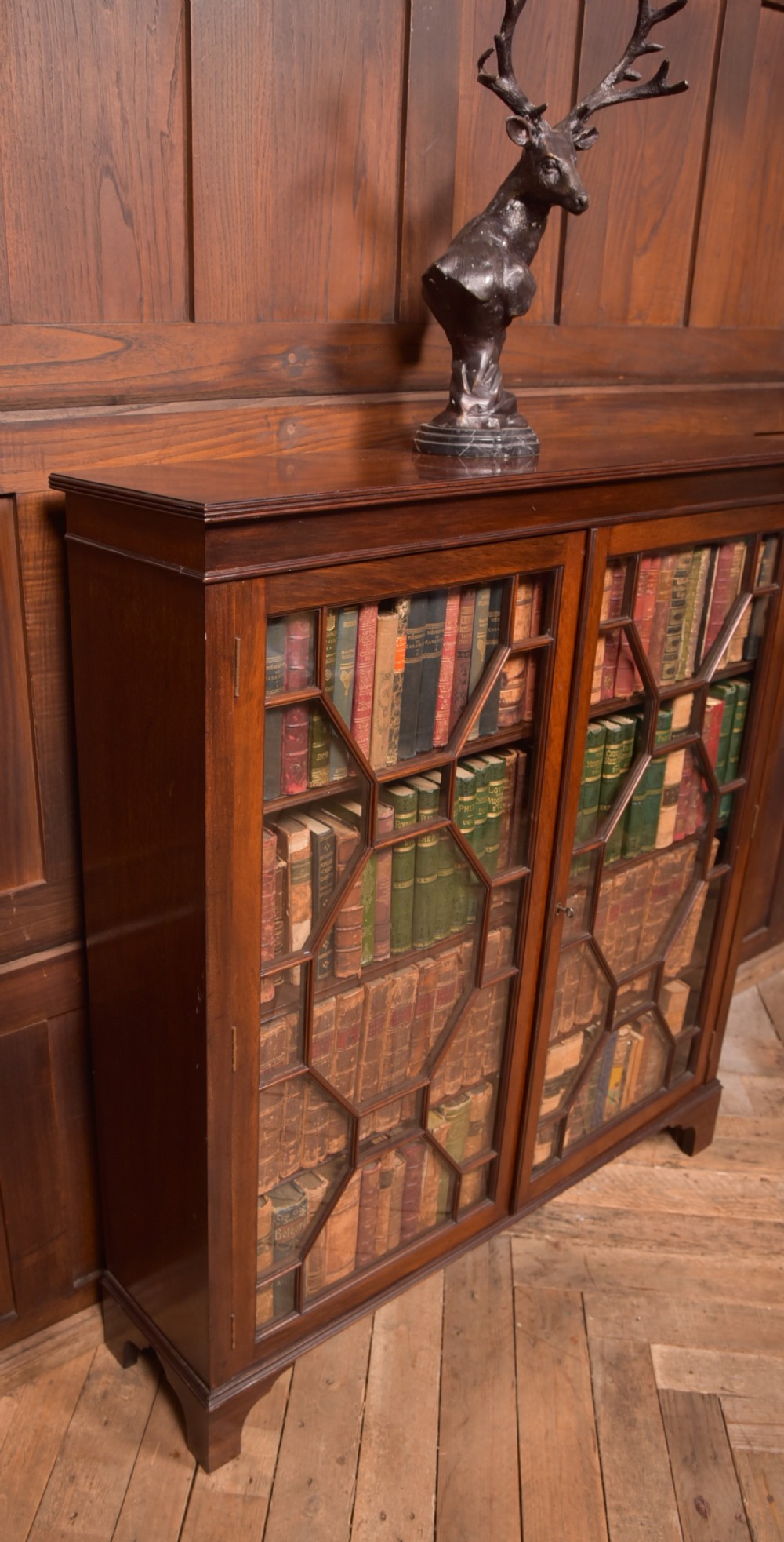 Edwardian Mahogany Bookcase View V