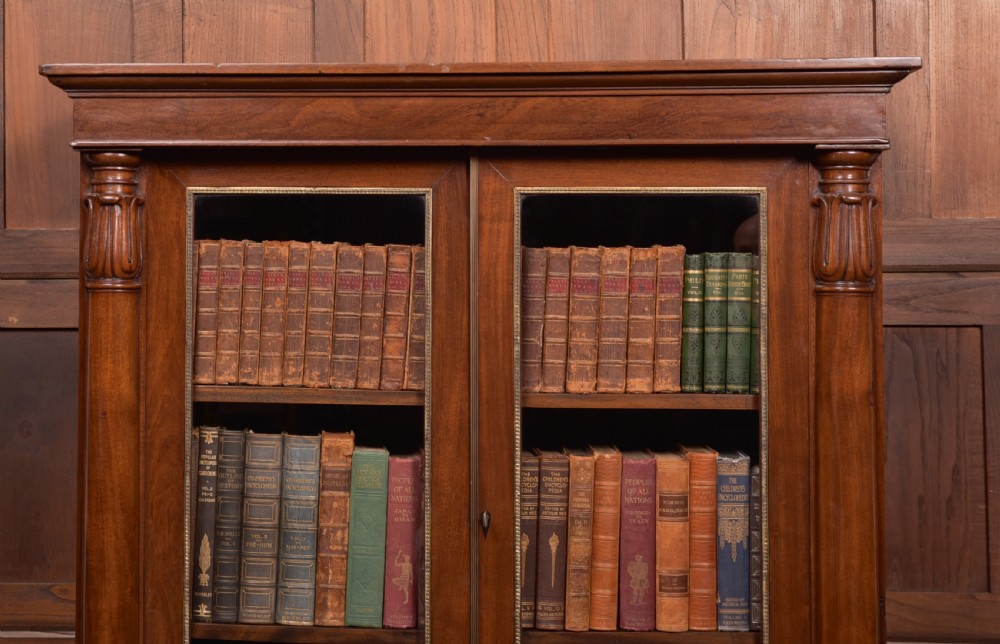 Mahogany Bookcase View V