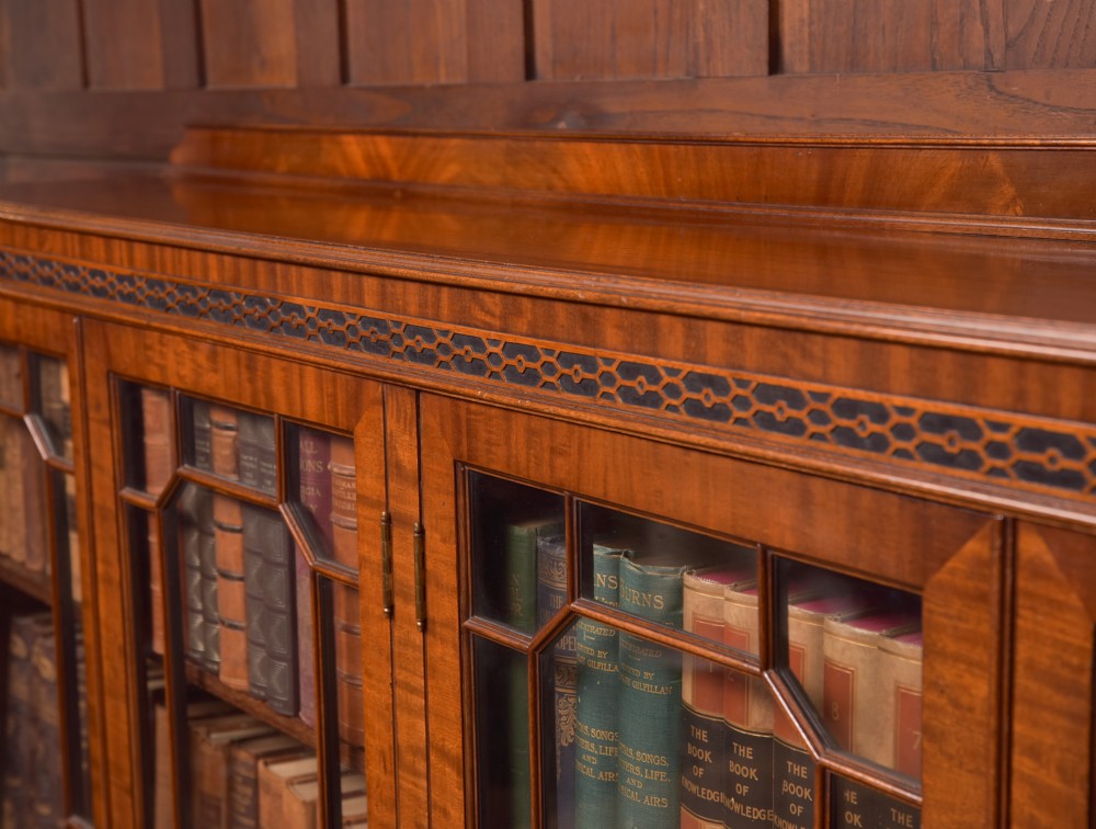 Edwardian Mahogany Bookcase View VI