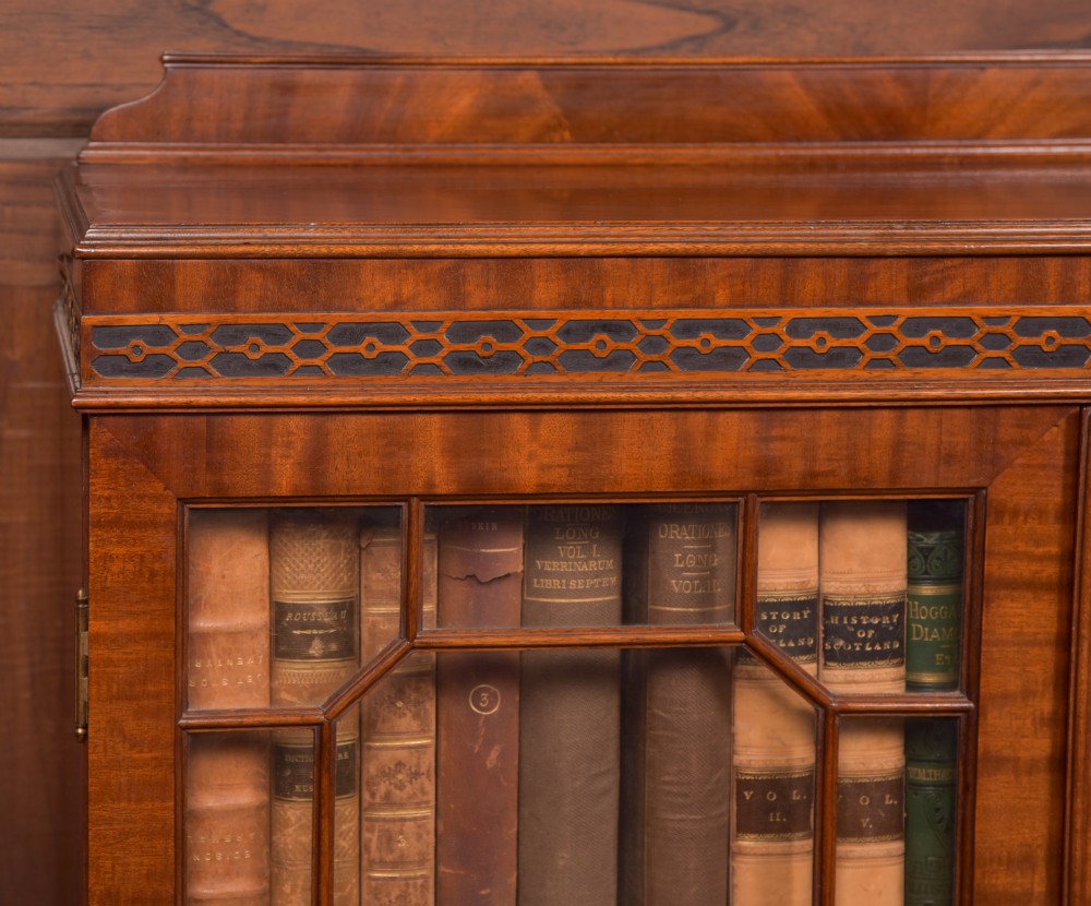 Edwardian Mahogany Bookcase View VIII