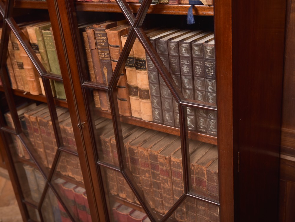 Edwardian Mahogany Bookcase View III