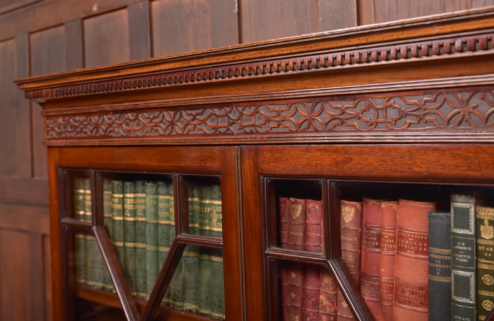 Edwardian Mahogany Bookcase View IV