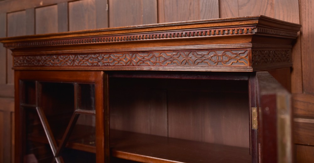 Edwardian Mahogany Bookcase View IX