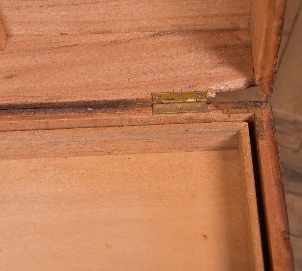 Chinese Camphor wood storage / blanket box View IX