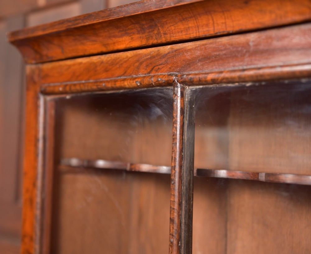 Walnut Display Cabinet View V
