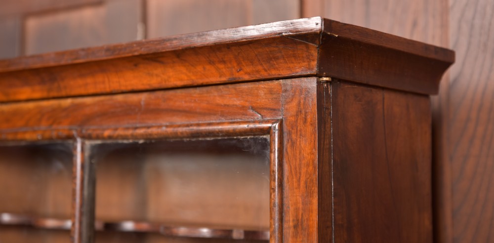 Walnut Display Cabinet View VI