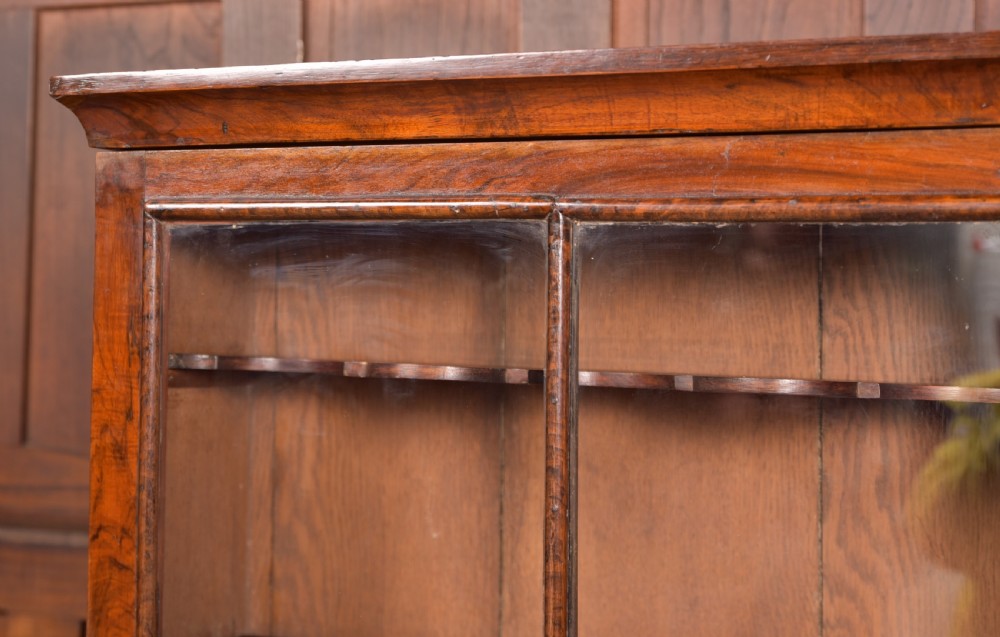 Walnut Display Cabinet View IX