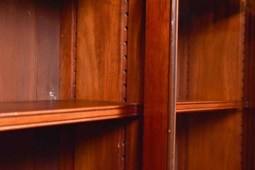 Edwardian Walnut Bookcase View XI
