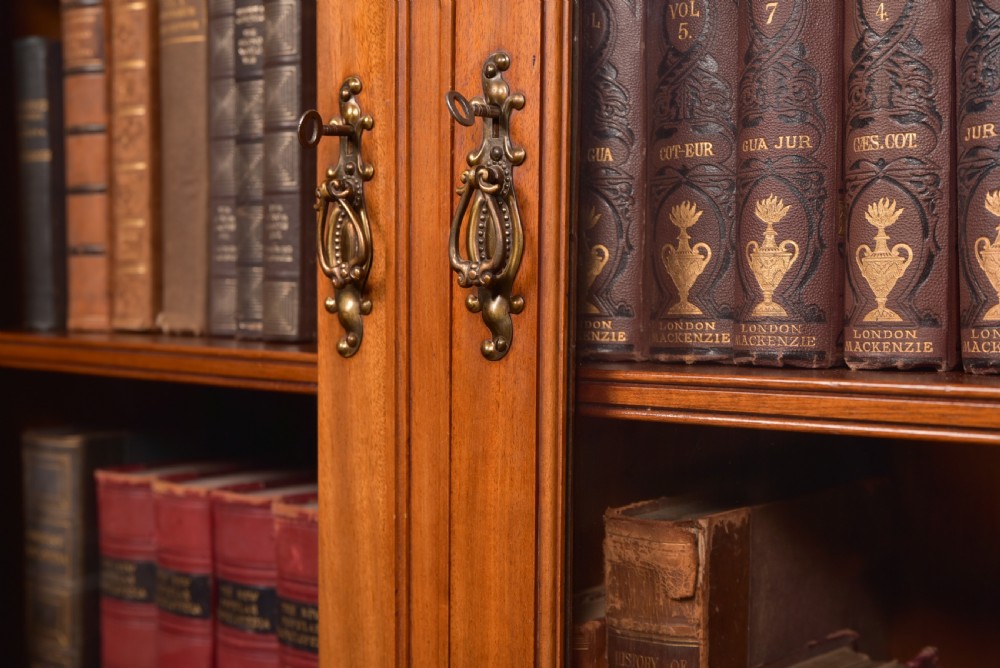 Edwardian Walnut Bookcase View XIII