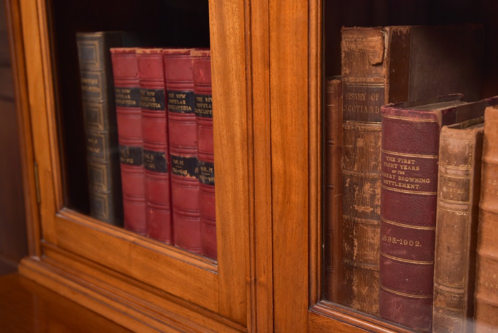Edwardian Walnut Bookcase View XVI