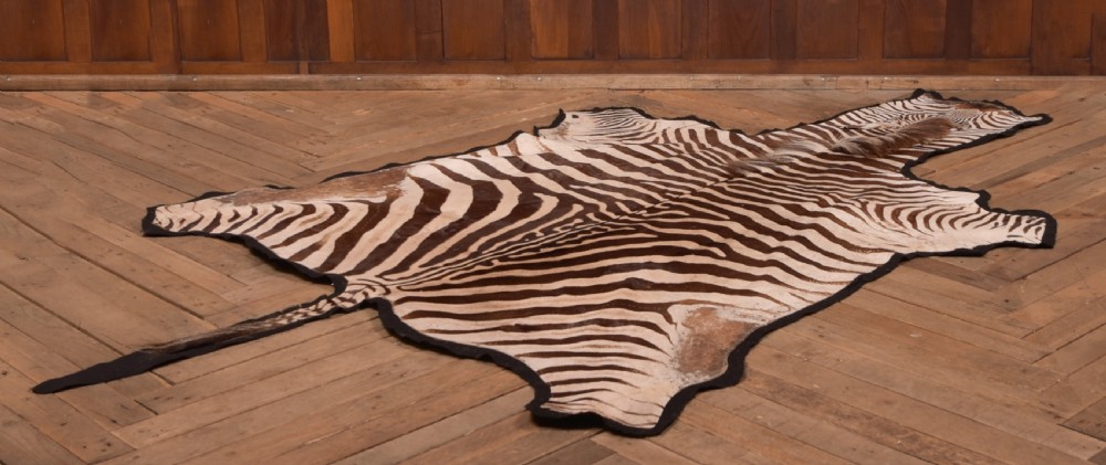 Zebra Rug