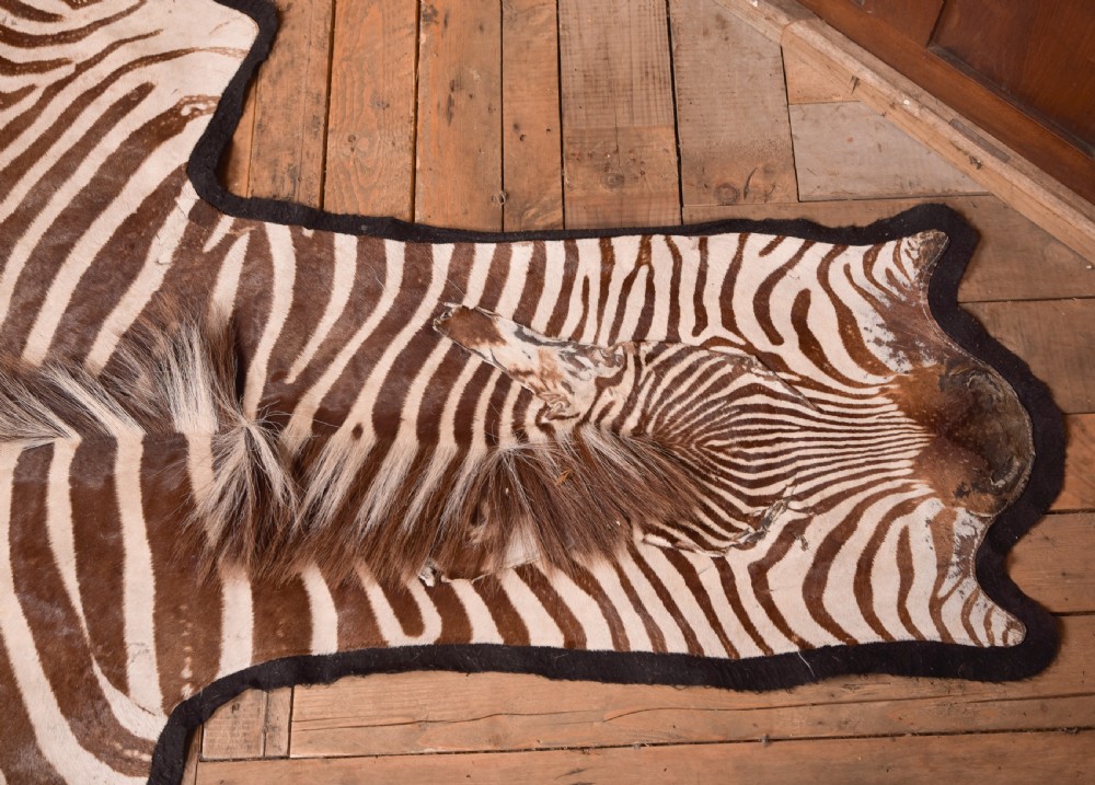 Zebra Rug View VII