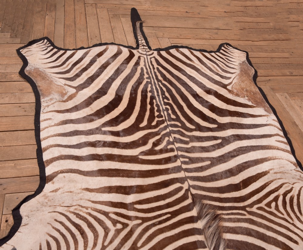 Zebra Rug View X