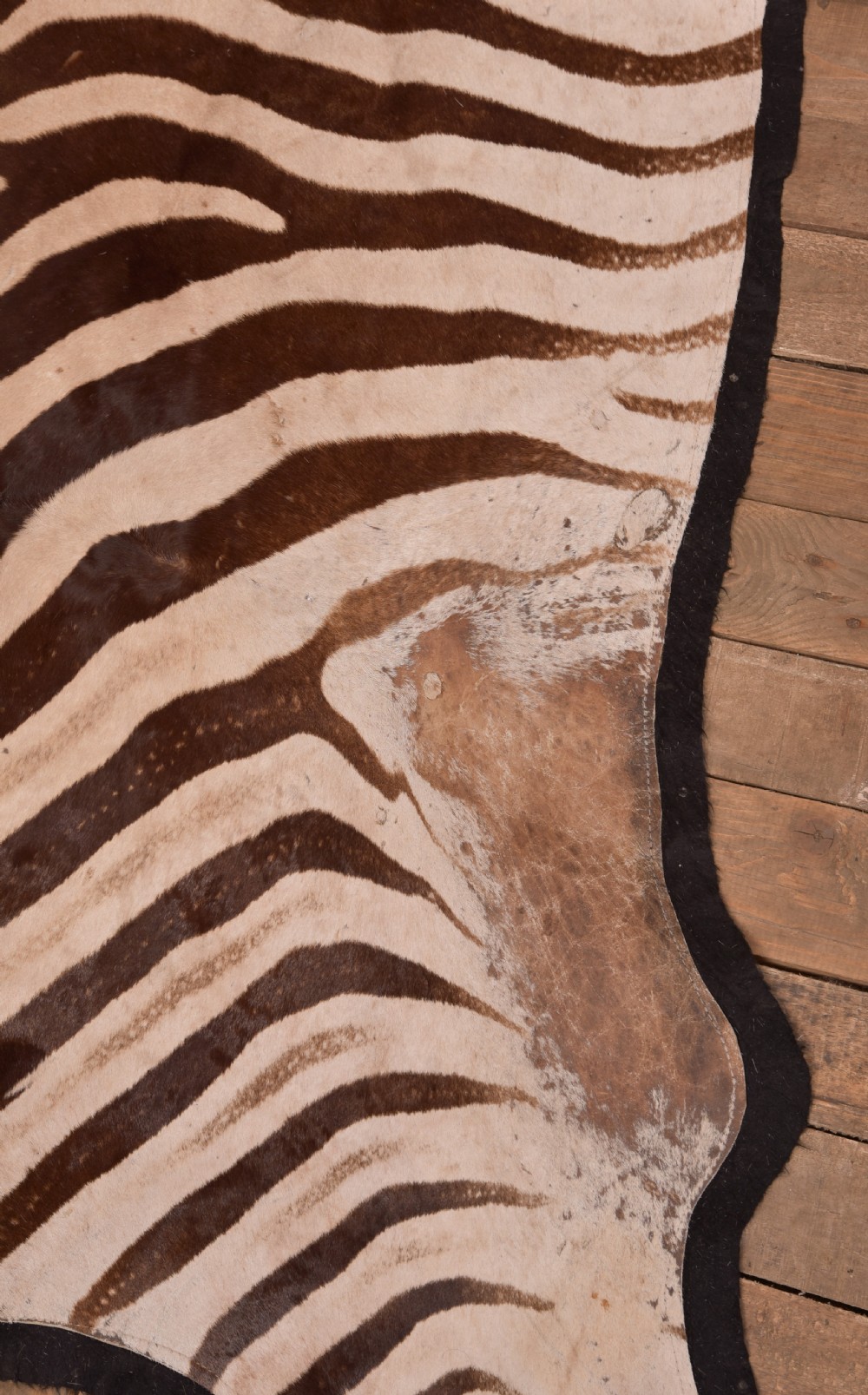 Zebra Rug View XI
