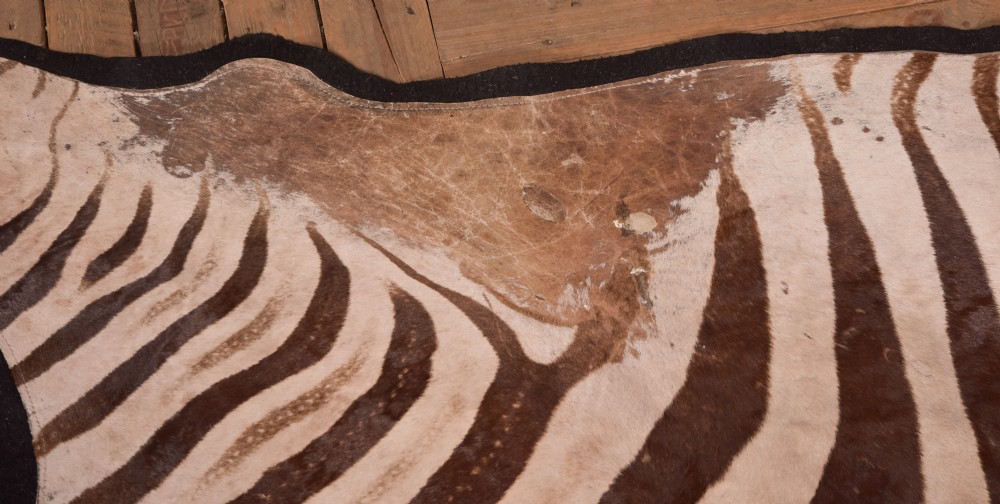 Zebra Rug View XII
