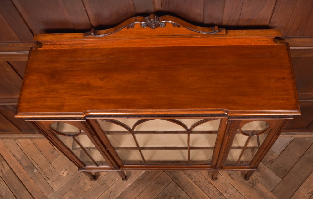 Edwardian Mahogany Display Cabinet View IV