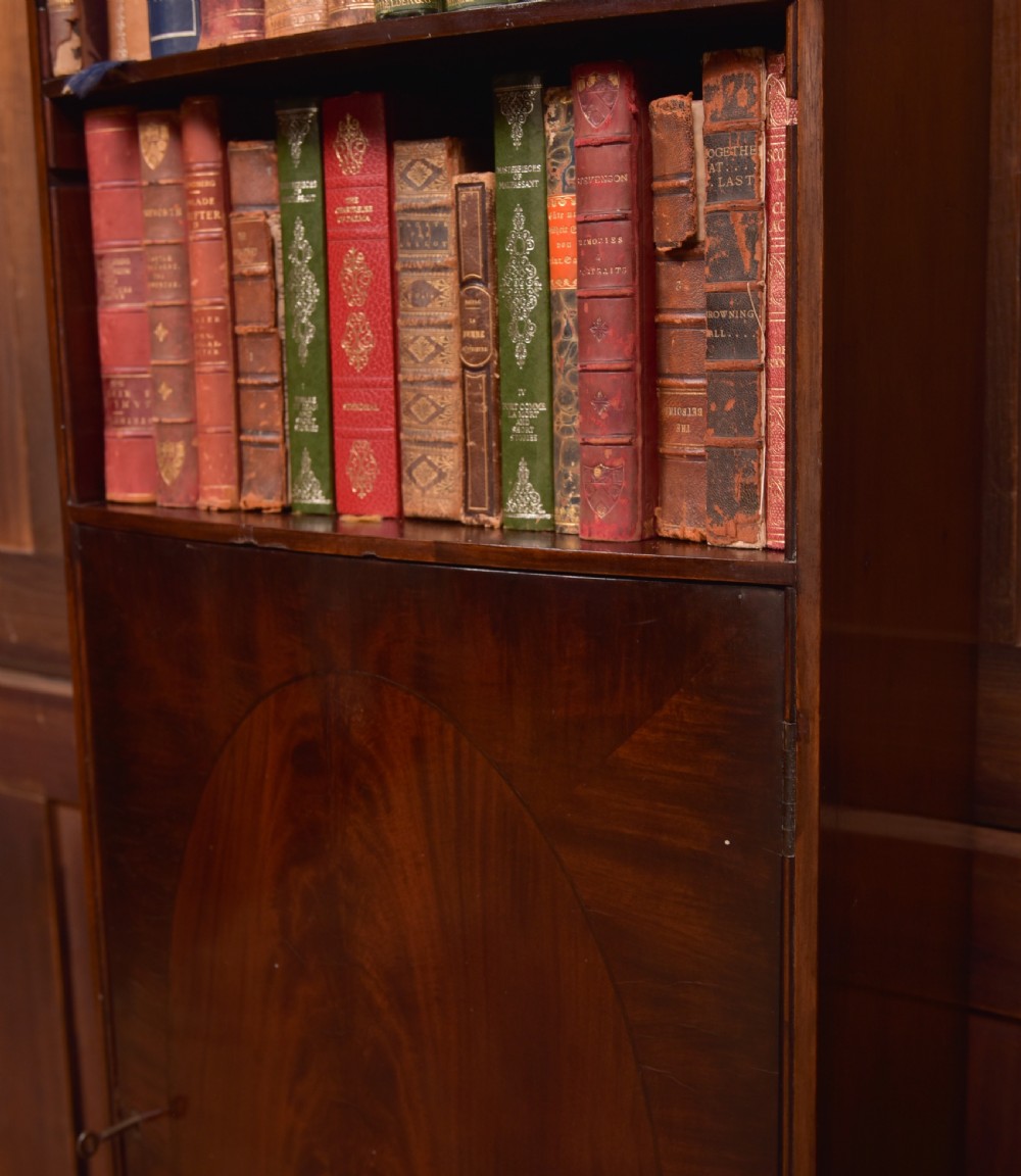 Pioneer Store Mahogany Slim Open Bookcase View XIX
