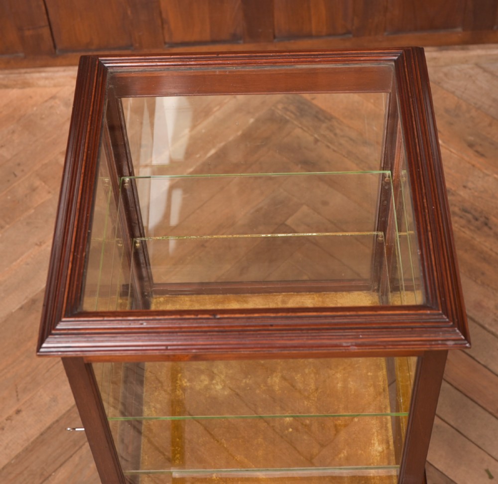 Edwardian Mahogany Bijouterie / Display Cabinet View VI