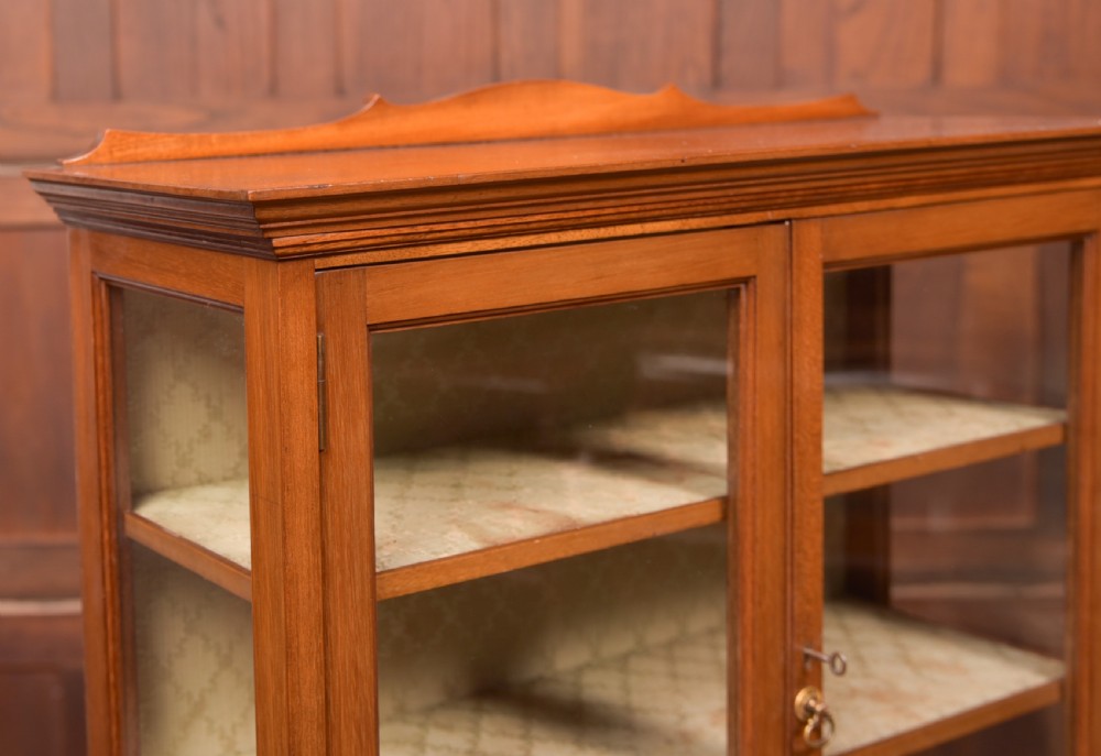 Edwardian Red Walnut Display Cabinet View II