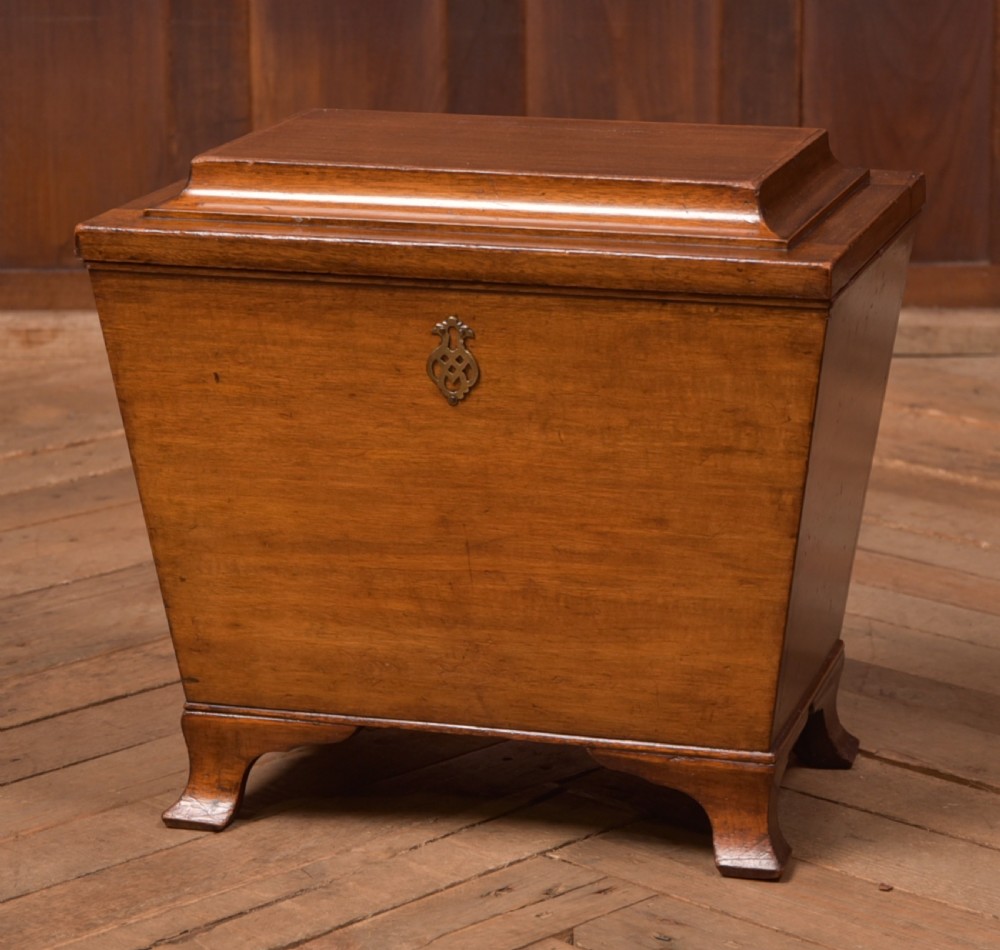 Edwardian Mahogany Sarcophagus Coal Box
