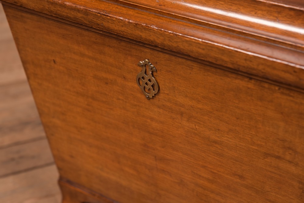 Edwardian Mahogany Sarcophagus Coal Box View III