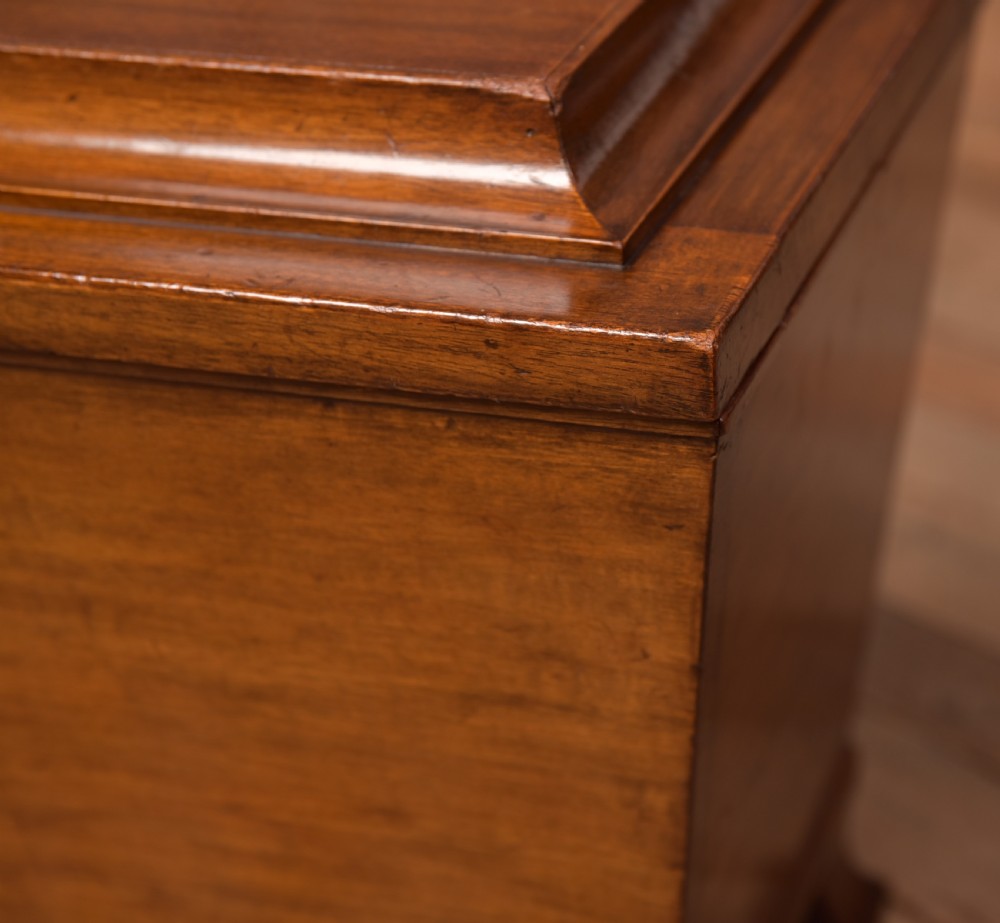 Edwardian Mahogany Sarcophagus Coal Box View IV