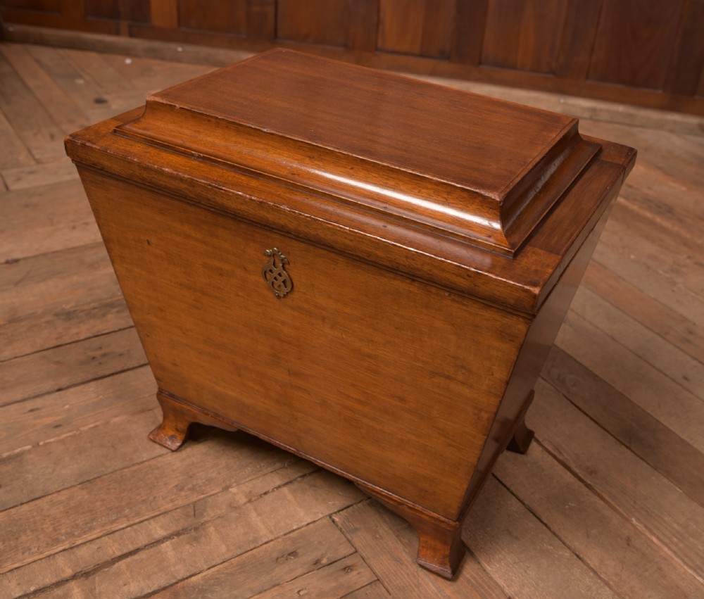 Edwardian Mahogany Sarcophagus Coal Box View V