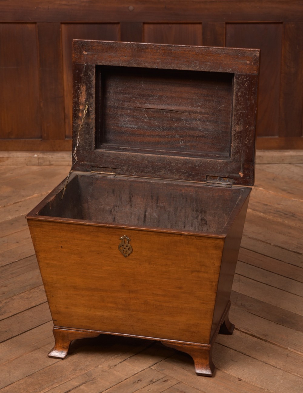 Edwardian Mahogany Sarcophagus Coal Box View VIII