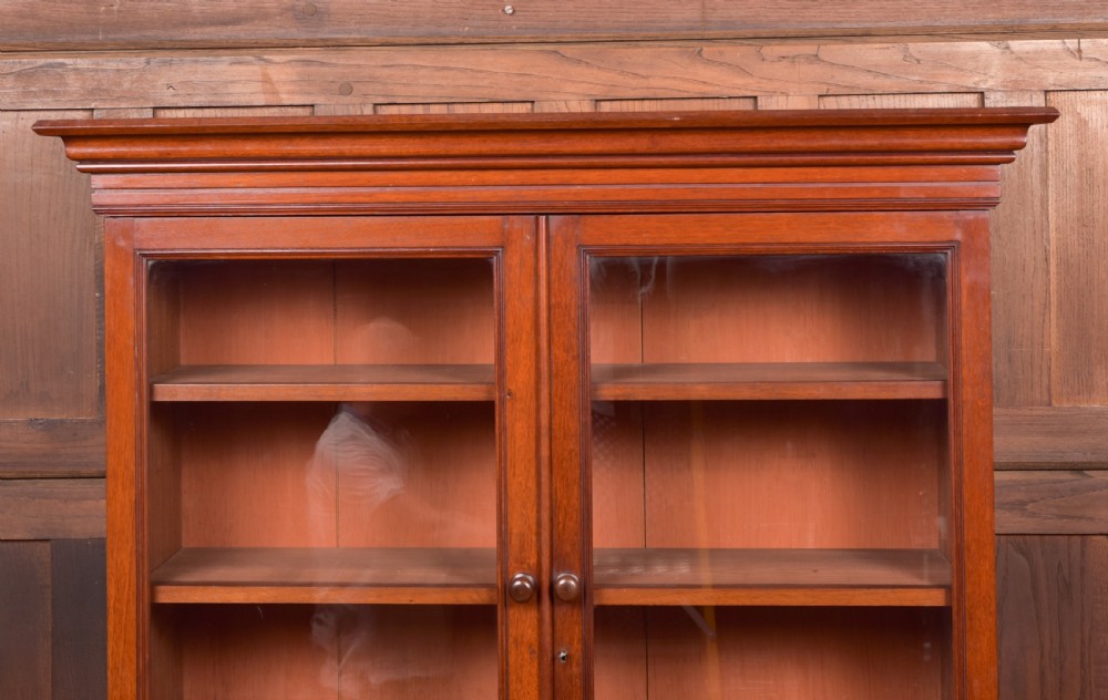 Victorian Mahogany Bookcase View IV