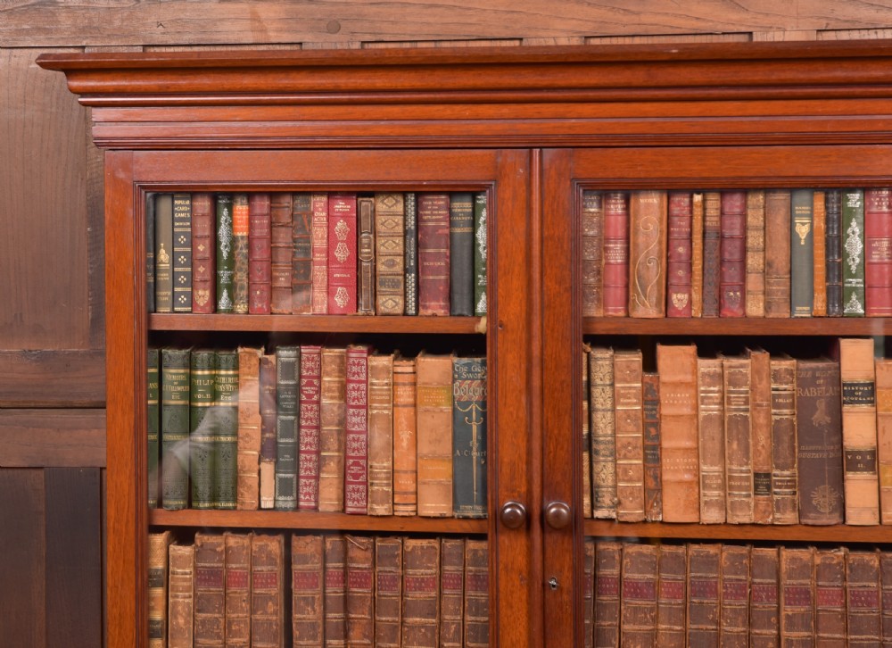 Victorian Mahogany Bookcase View VIII