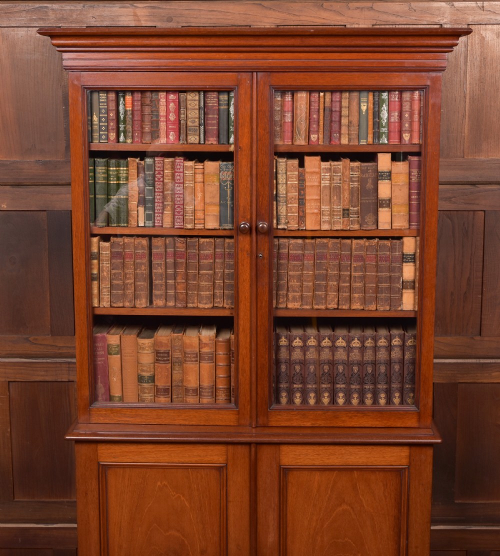 Victorian Mahogany Bookcase View IX