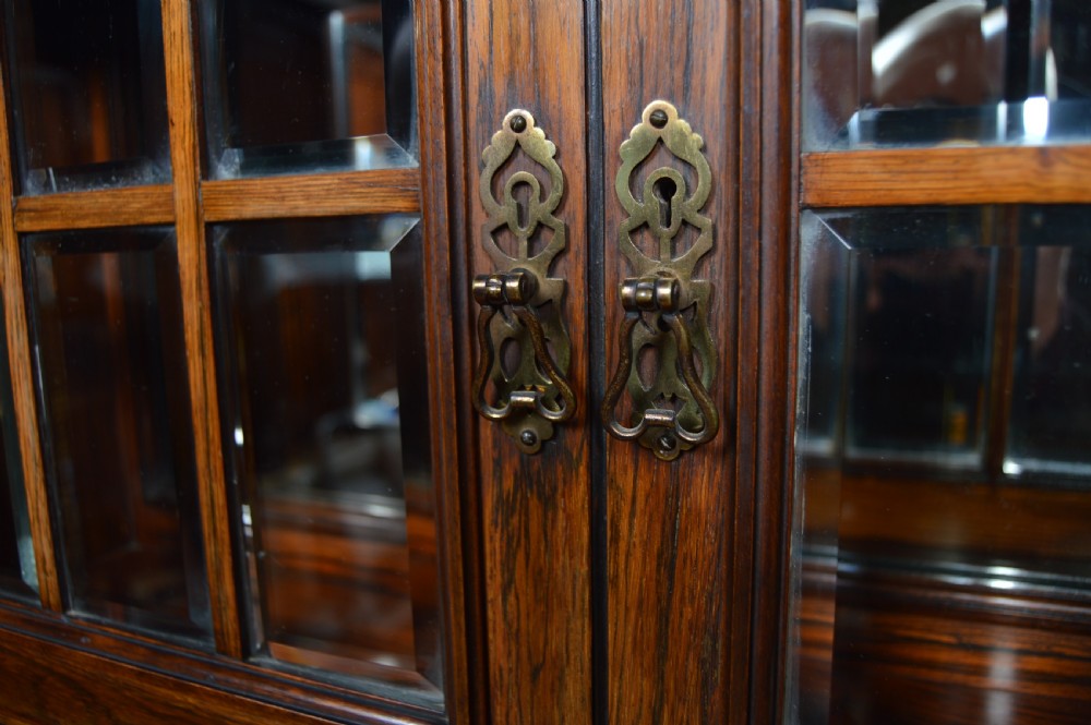 Edwardian Rosewood Side Cabinet View XXI