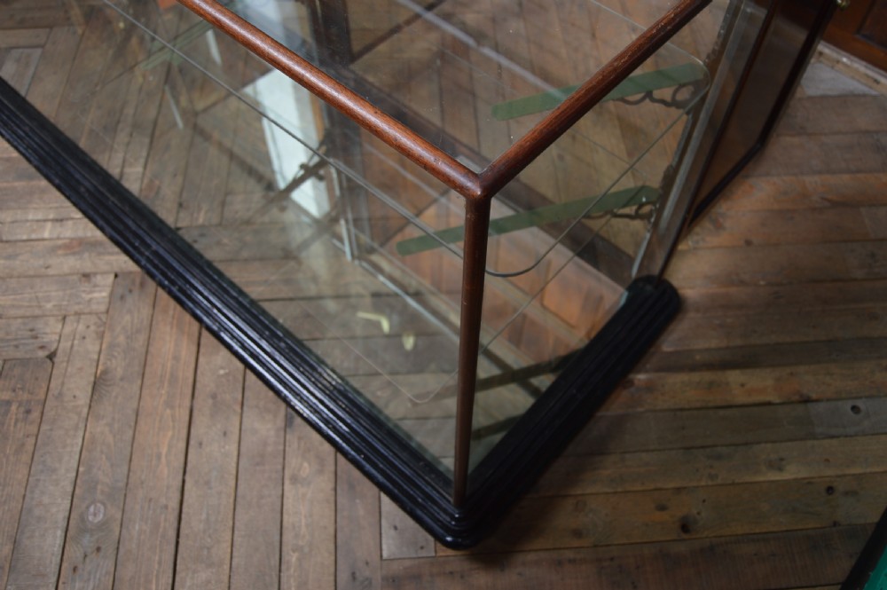 Victorian Shop Display Cabinet View XXIV