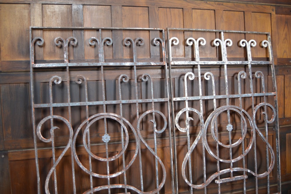 A pair of rectangular wrought iron gate panels featuring central circular scrollwork and decorative rosettes. View III