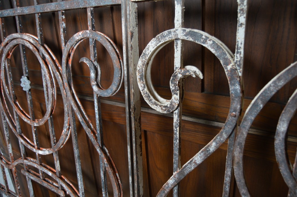 A pair of rectangular wrought iron gate panels featuring central circular scrollwork and decorative rosettes. View VIII