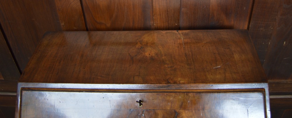 Walnut Writing Bureau View XI