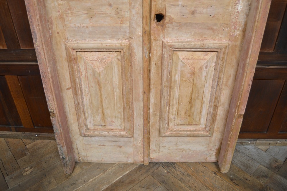 Salvaged Egyptian Pine Door View VIII