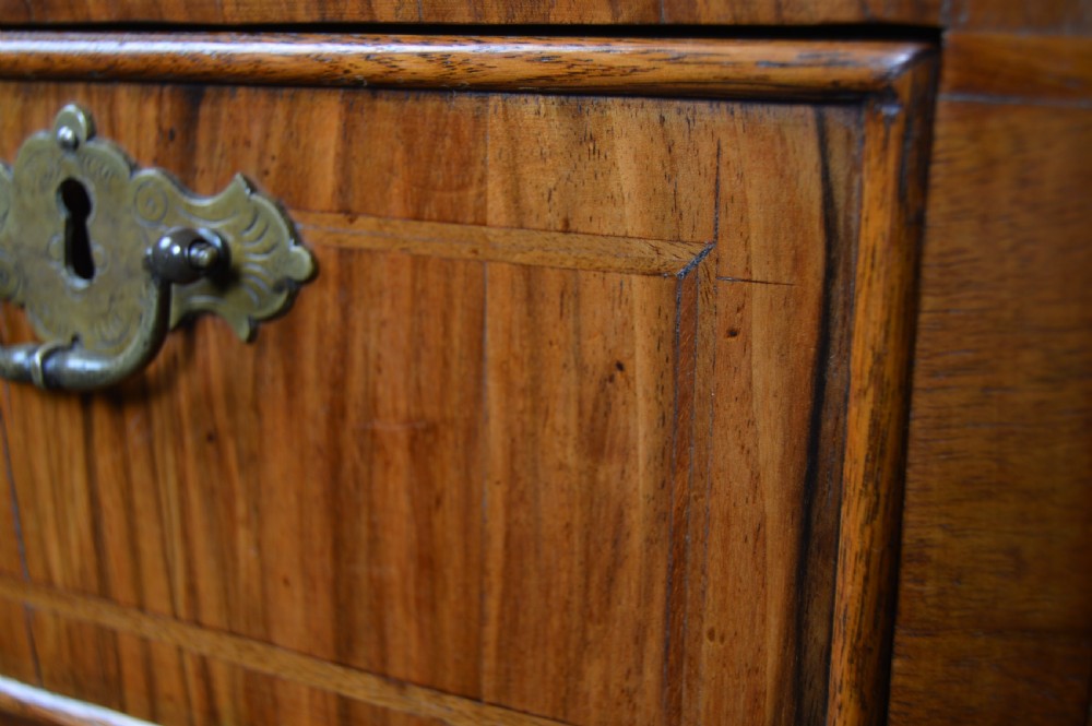 A Georgian walnut chest on stand with layered drawers, decorative brass drop handles, and carved cabriole legs. View VI