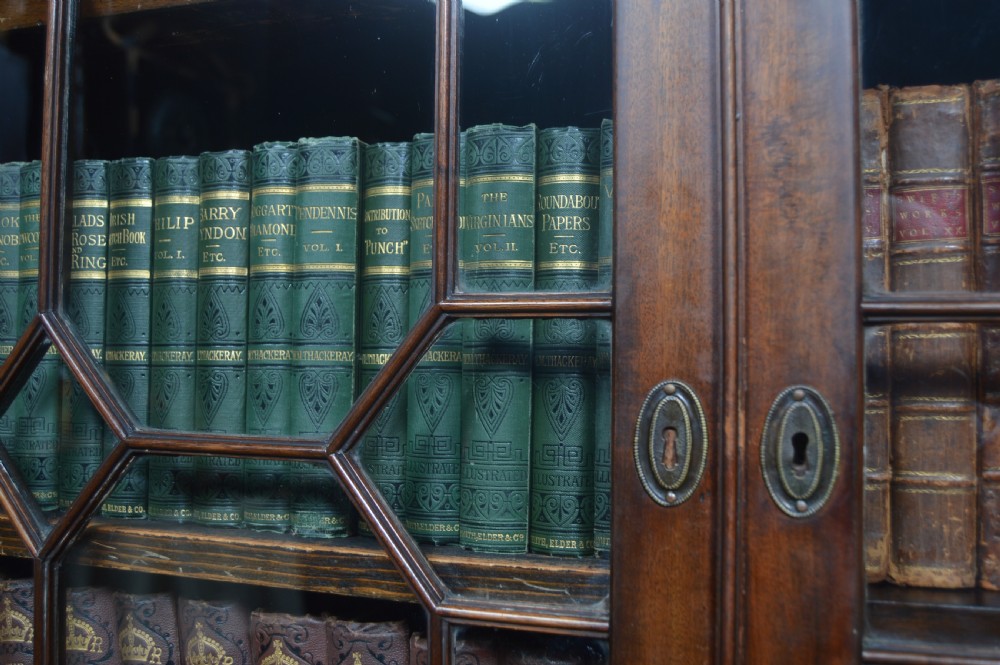 Mahogany Bookcase / Display Cabinet View IV