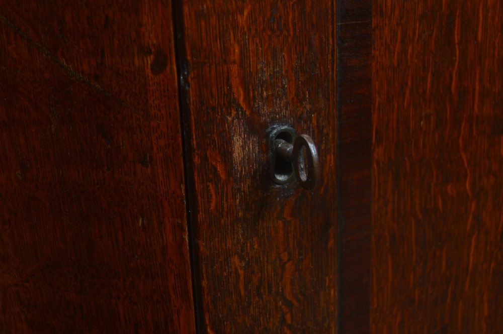 Georgian Oak Corner Cabinet View III