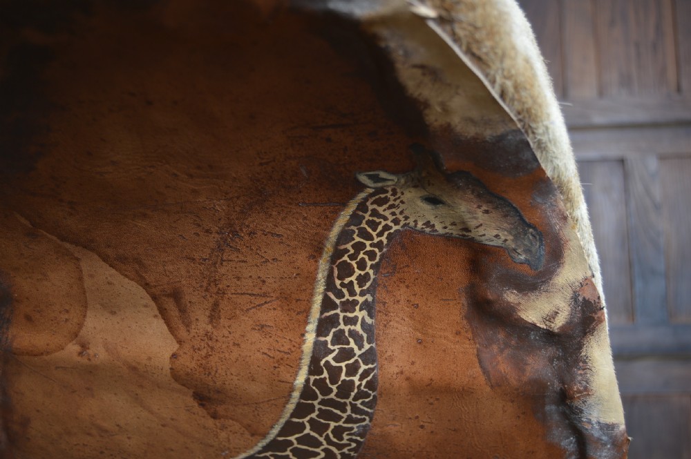 Taxidermy African Bull Giraffe View XVIII
