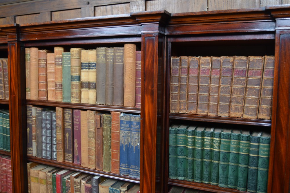 Georgian  Mahogany Bookcase View VI