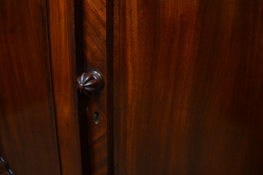 Georgian  Mahogany Bookcase View XV