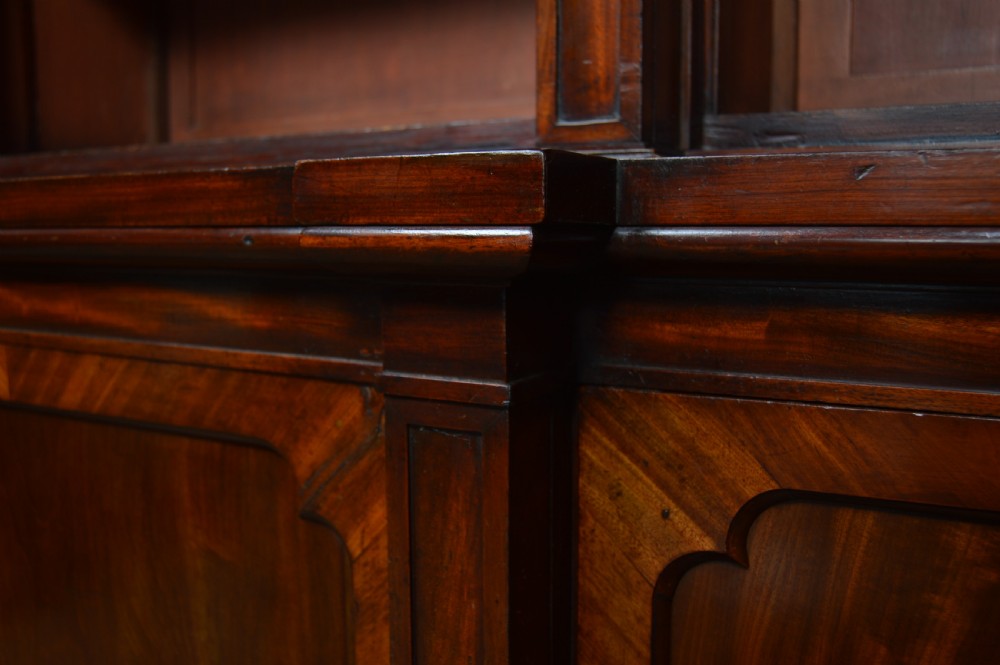 Georgian  Mahogany Bookcase View XVI