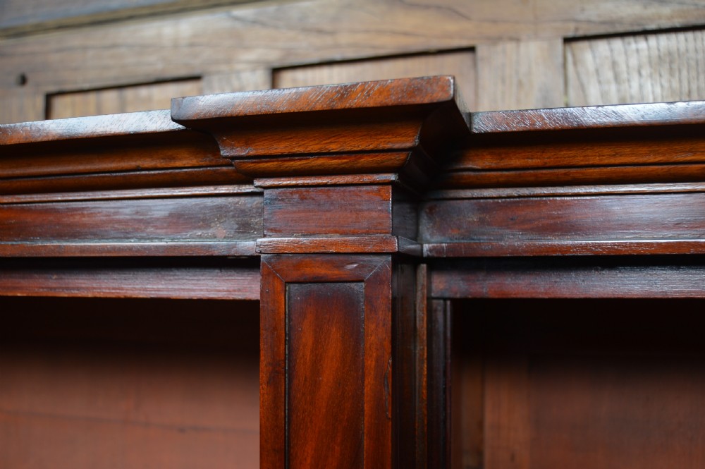 Georgian  Mahogany Bookcase View XVIII